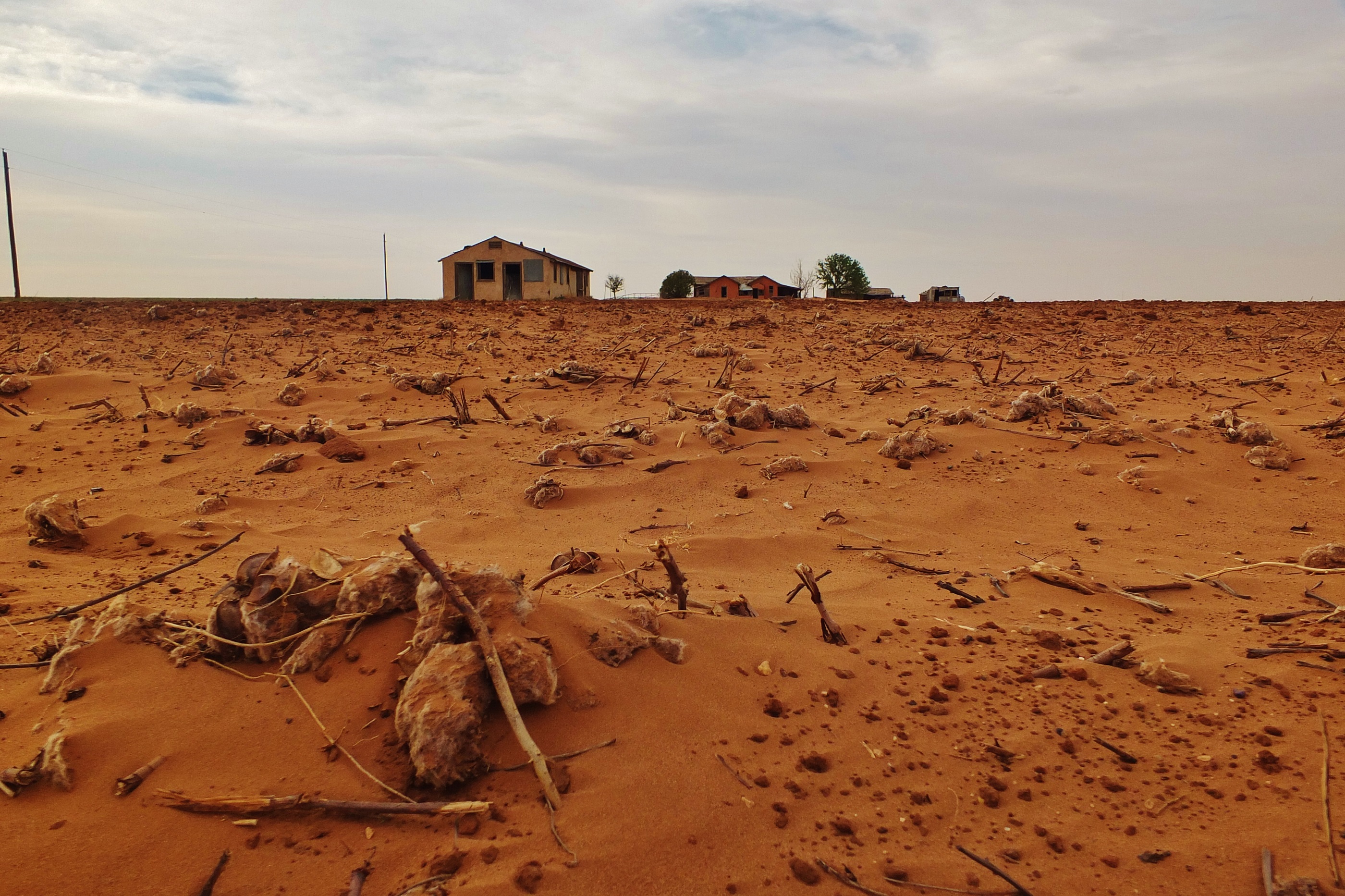 Cracked, dry earth during a drought